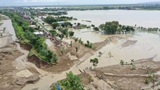 Banjir Bandang Terjang Gubug Grobogan, Ribuan Hektare Sawah Terendam dan Terancam Gagal Panen