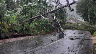 Hujan Disertai Angin Kencang Robohkan Pohon Dan Tiang Listrik