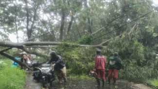 Satu Jam Mencekam Saat Badai dan Angin Kencang Menerjang Semarang, Petugas Perkim Berjibaku