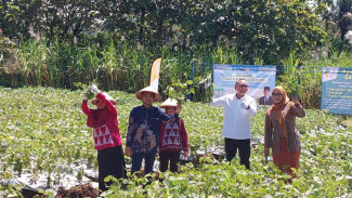 SMK Didorong Jadi Motor Inovasi Teknologi Pertanian Guna Tekan Biaya Produksi