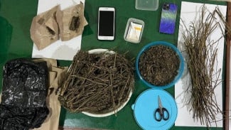 Polres Salatiga Ungkap Dua Kasus Narkoba Sita Setengah Kilogram Ganja