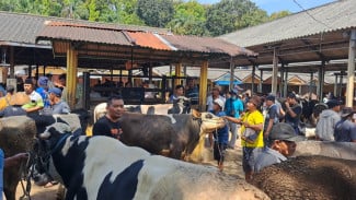 Sehari Jelang Idul Adha Harga Hewan Kurban Melonjak