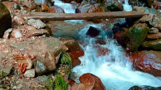 img_title