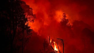 Gunung Pakuwojo Dieng Terbakar
