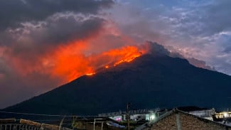 Kebakaran Hutan Gunung Sumbing Merambat ke Temanggung, Petugas Sekat Api dan Proteksi Pipa Air