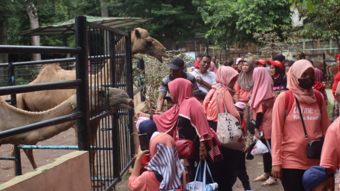 Pengunjung di Semarang Zoo.