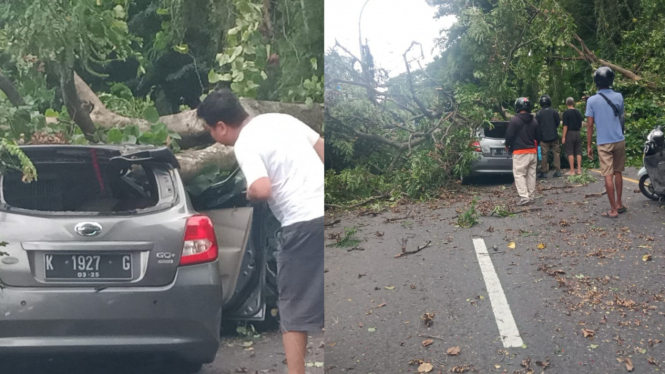 Pohon tumbang timpa mobil di Semarang.