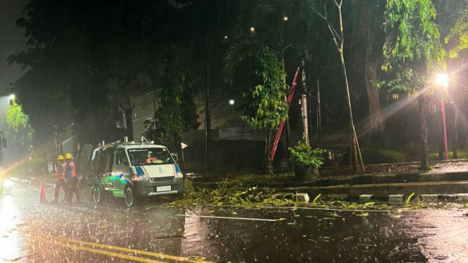 Petugas mengevakuasi pohon yang timpa jaringan listrik.