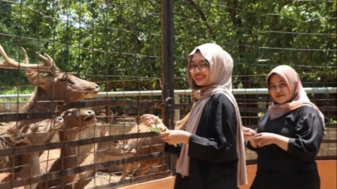 Bonbin Semarang Zoo.