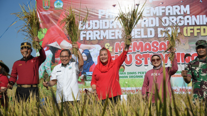 Wali Kota Semarang padi organik dan Farmer Field Day di Mijen.