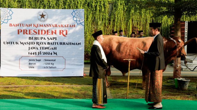 Penyerahan sapi kurban dari Presiden Jokowi ke Ketua MUI Jawa Tengah