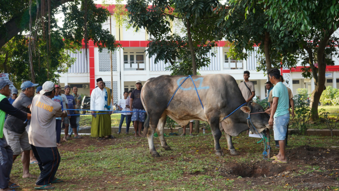 Jajaran Polda Jateng Sembelih 176 Sapi dan 215 Kambing