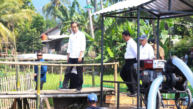 Presiden Jokowi Tinjau Pompanisasi pertanian di Kab. Semarang