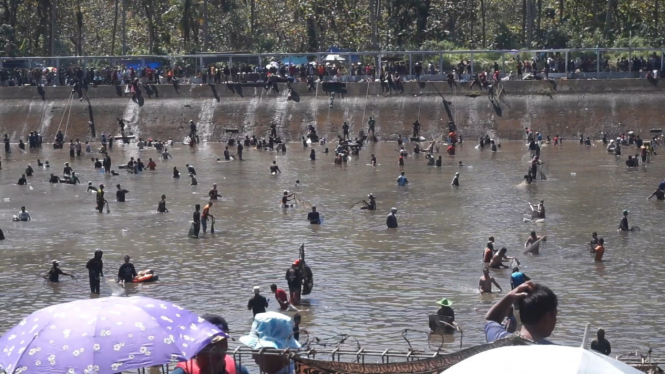 Ribuan Warga Cari Ikan Di PLTA Timo