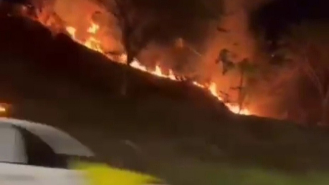 Kebakaran lahan tepi jalan tol Semarang Batang.