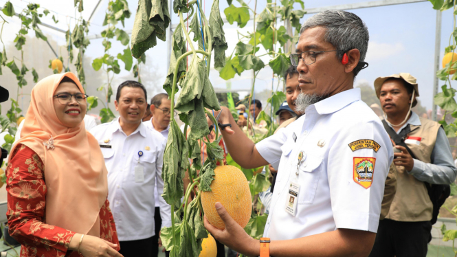 Sekda Jateng Sumarno petik melon di Agro Expo Soropadan