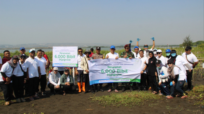 Aksi penanaman mangrove di Mangunharjo Semarang.