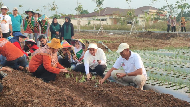 Wali Kota Semarang tanam bawang merah Lokananta