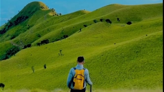 Psdang savana di jalur pendakian Merbabu via Suwanting.