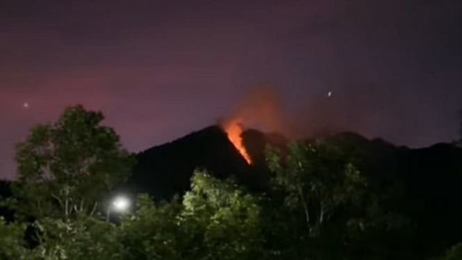 Kebakaran hutan di Gunung Telomoyo.