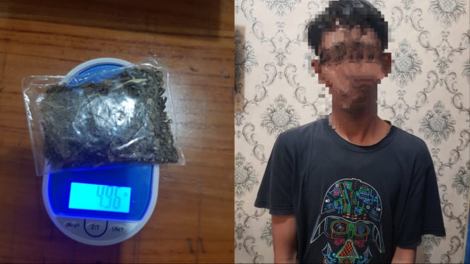 Pelaku dan barang bukti ganja yang diamankan Polres Kendal.