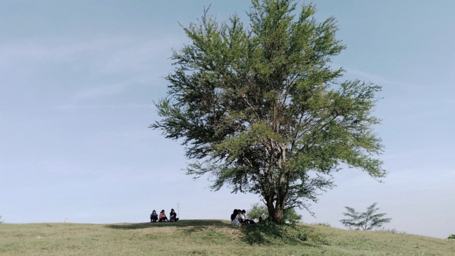 Padang savana di dekat Undip yang mirip di Afrika.