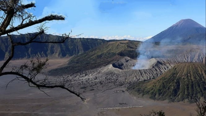 Kawasan Taman Nasional Gunung Bromo.