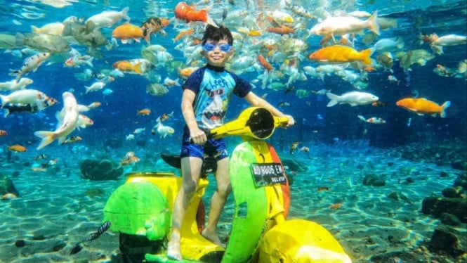 Wisata bawah air Umbul Ponggok Klaten.