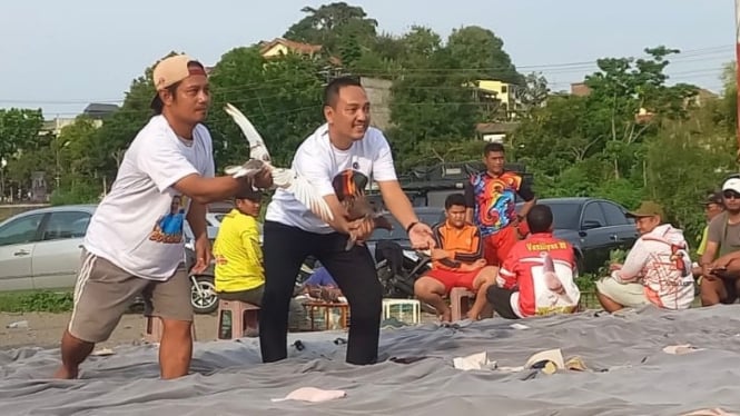 Calon Wali Kota Semarang Yoyok Sukawi bersama komunitas merpati kolong