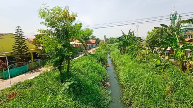 Pemkot Semarang akan bebaskan lahan untuk normalisasi sungai