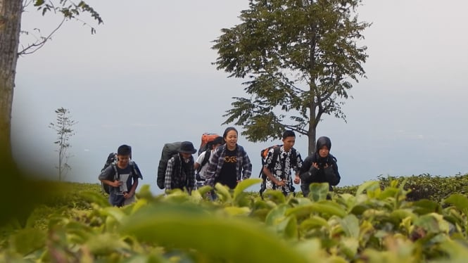 Wisata petualangan di kebun teh lereng gunung dekat Semarang.