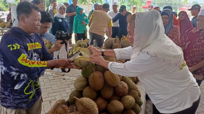 Gerebek durian di BSB Mijen Semarang.