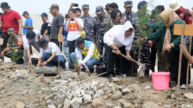 Penanaman mangrove di Tambakmulyo Kota Semarang.