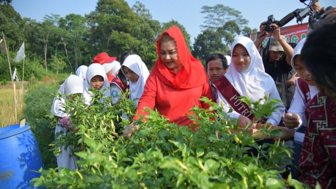 Wali Kota Semarang terbitkan Perwal beasiswa anak petani dan nelayan.