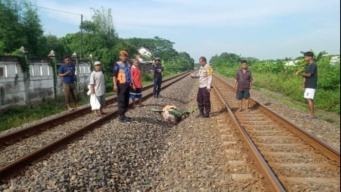 Petugas evakuasi korban tersambar KA Argo Sindoro di Semarang.