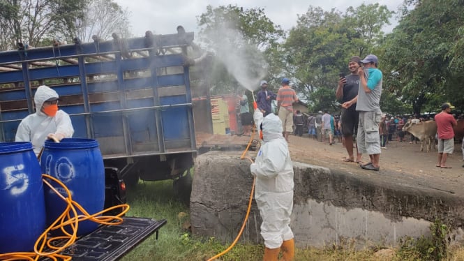 Petugas semprot disinfektan di kandang ternak Jawa Tengah.