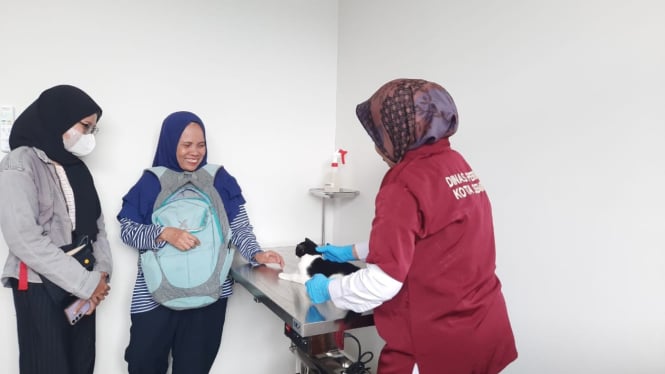 Pemkot Semarang buka klinik hewan dengan tarif terjangkau.