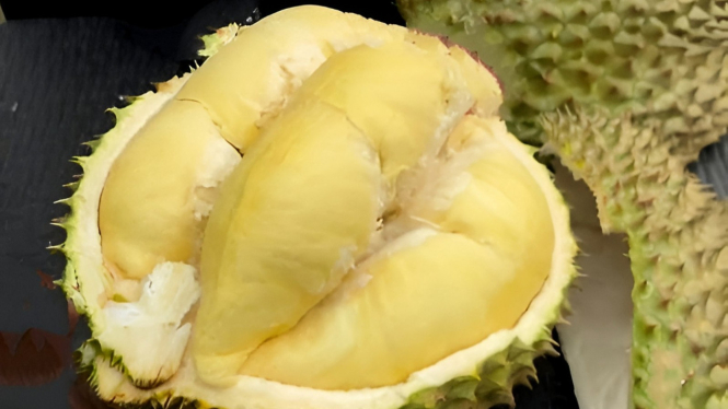 Durian Gunungpati Semarang yang tebal berwarna kuning mentega.