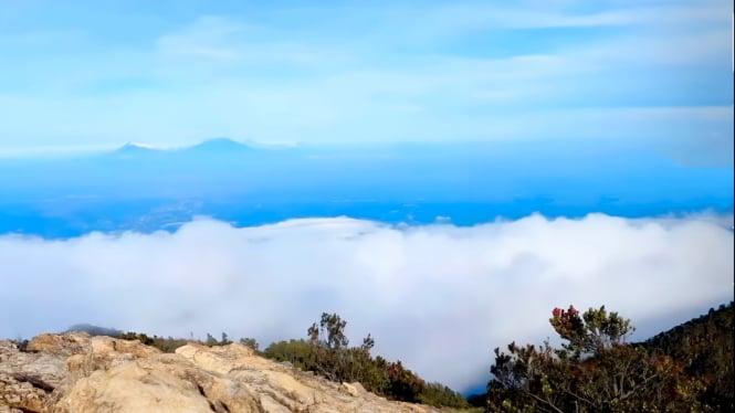 Wisata bagai Negeri di Awan Gunung Lawu.