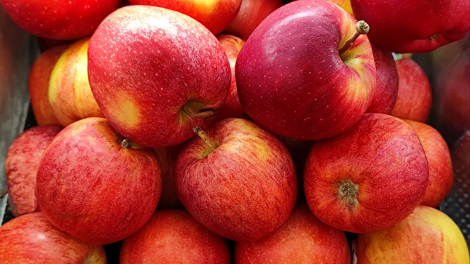 Buah apel bermanfaat untuk kesehatan tubuh.