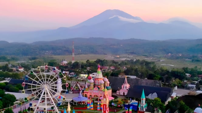Taman bunga Celosia Bandungan.