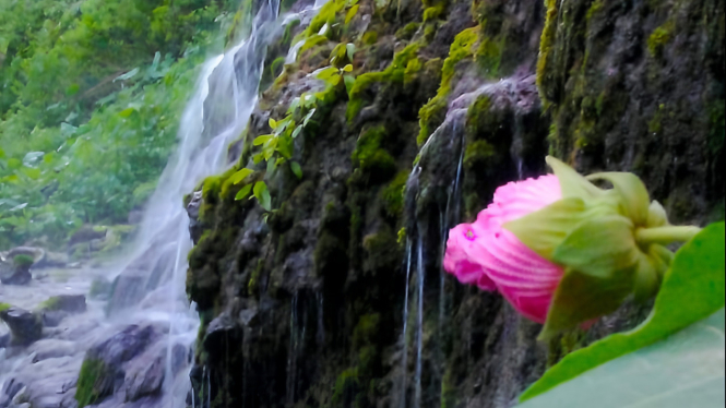 Air terjun Curug Sigludug Wonosobo.