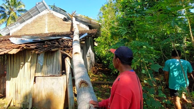 Rumah Warga Rusak Tertimpa Pohon Tumbang Akibat Puting Beliung