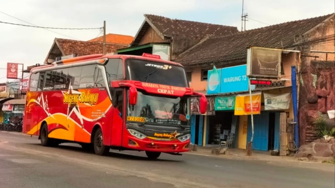 Ilustrasi bus Sugeng Rahayu.