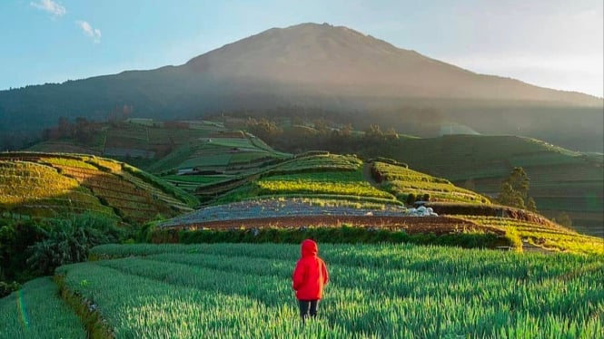 Desa wisata Sukomakmur Magelang