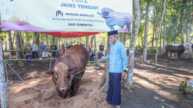 Sapi kurban dari Presiden RI disumbangkan di Jateng.