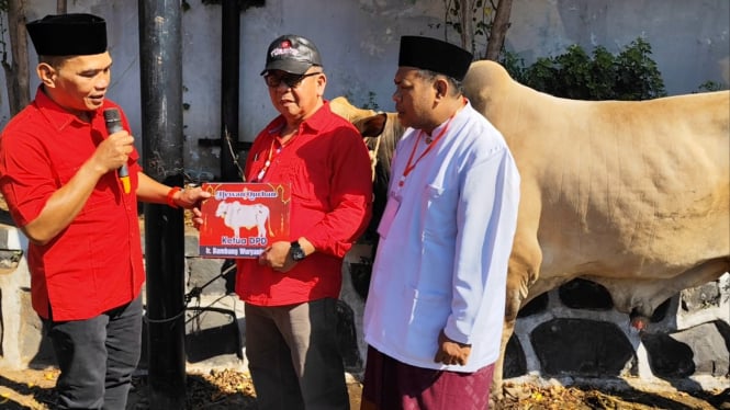 Sekretaris DPD PDI Jateng serahkan sapi kurban.