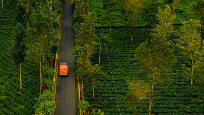 Panorama traveling Semarang ke Dieng lewat jalur belakang.