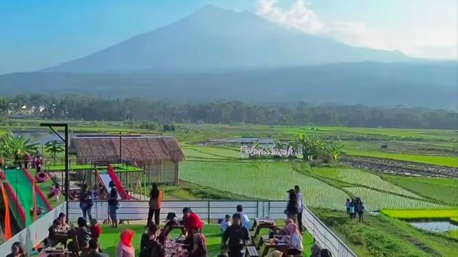 Kafe Dolan Sawah di Salatiga.