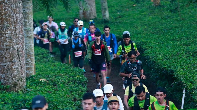 Trail run di kebun teh Tambi Wonosobo.